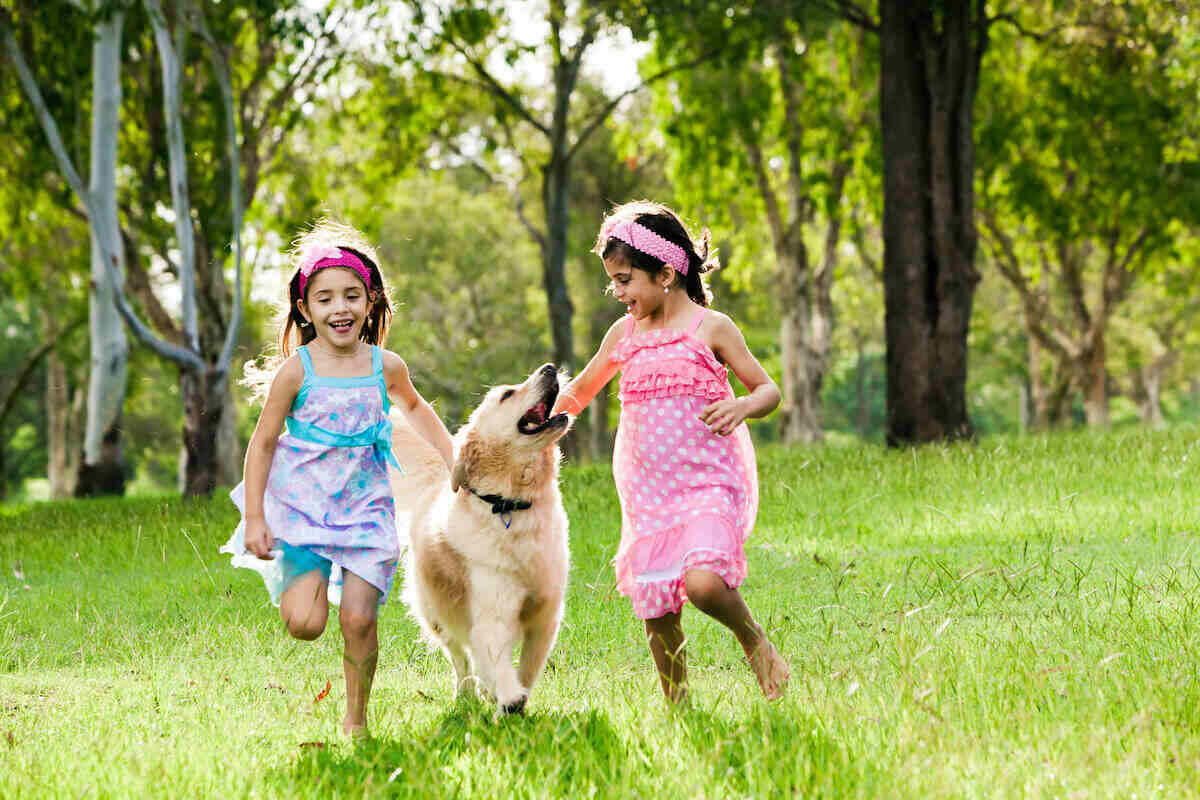 steps-for-introducing-your-golden-retriever-to-children