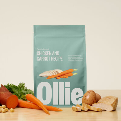 ollie-chicken-dish-with-carrots