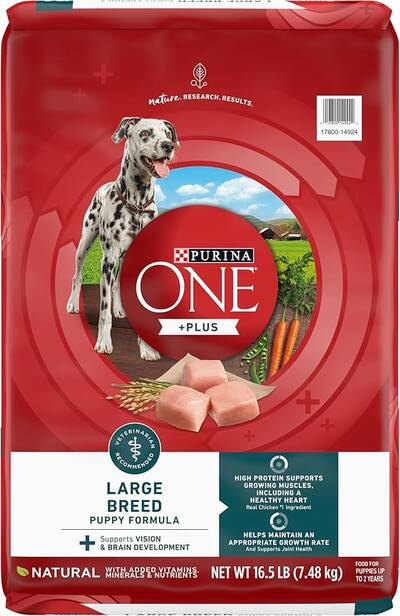 Purina One Large Breed Puppy